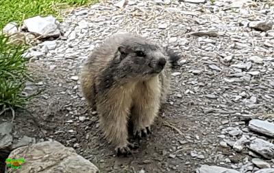 Andorra 2018 8 y 9 septiembre